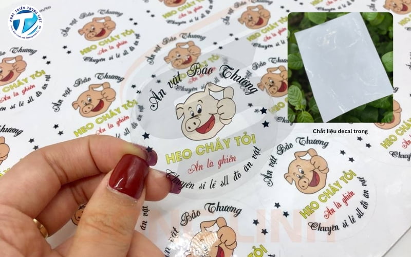 Decal trong là gì? Ứng dụng như thế nào